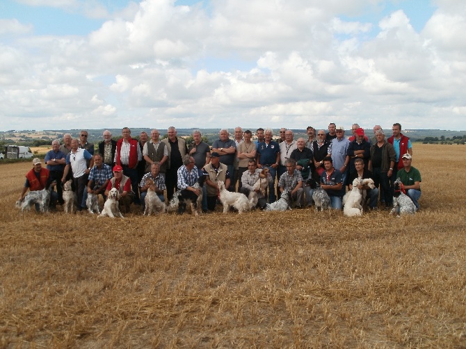 Des Berges De La Loire - PLEMET 2014