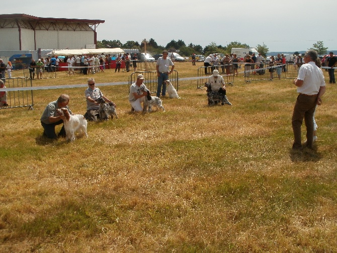 Des Berges De La Loire - regionale d élevage MAURON